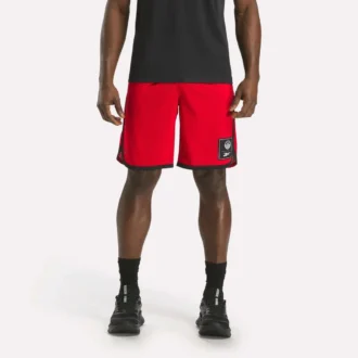 Erkek Basketbol File Şort