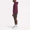 Erkek Finisher Kapüşonlu Sweatshirt