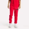 Erkek Jogger Pantolon