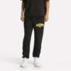 Erkek Jogger Pantolon