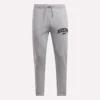 Erkek Jogger Pantolon