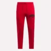 Erkek Jogger Pantolon