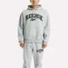 Erkek Kapüşonlu Sweatshirt