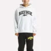 Erkek Kapüşonlu Sweatshirt