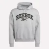 Erkek Kapüşonlu Sweatshirt