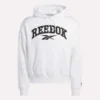 Erkek Kapüşonlu Sweatshirt
