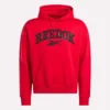 Erkek Kapüşonlu Sweatshirt