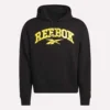Erkek Kapüşonlu Sweatshirt