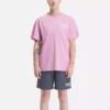 Erkek Reebok Identity Brand Proud Grafik Kısa Kollu Tişört