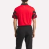 Erkek Signature Vector Renkli Polo Gömlek