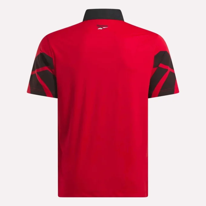 Erkek Signature Vector Renkli Polo Gömlek