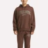 Erkek Varsity Kapüşonlu Sweatshirt Erkek Varsity Kapüşonlu Sweatshirt