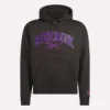 Erkek Varsity Kapüşonlu Sweatshirt Erkek Varsity Kapüşonlu Sweatshirt