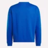 Erkek Varsity Sweatshirt