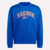 Erkek Varsity Sweatshirt