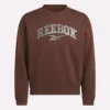 Erkek Varsity Sweatshirt