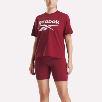 Kadın Büyük Logo Oversized Crew Kısa Kollu Tişört