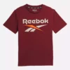 Reebok Identity T-Shirt – Büyük Çocuklar